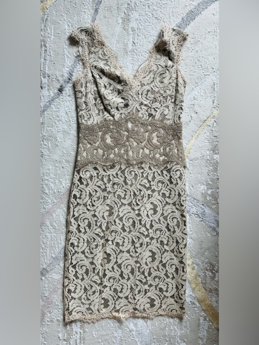 Tadashi Shoji Taupe Lace V-Neck Dress